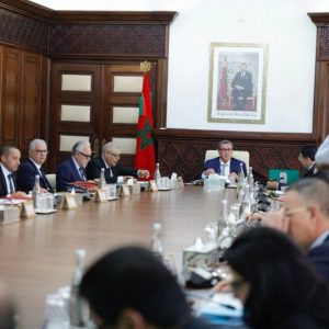14 وزيرا يحصلون على مقاعد برلمانية
