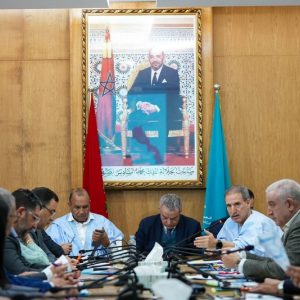 "برلمانيو الأحرار" يترافعون عن الصحراء