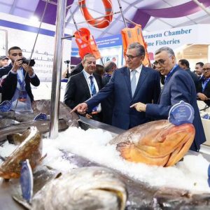 معرض "أليوتيس" يروج للابتكار في قطاع الصيد ويعزز الشراكات الدولية