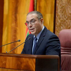 أوزين: حزب الحركة الشعبية يرفض التشريع من أجل "المواقع العابرة"