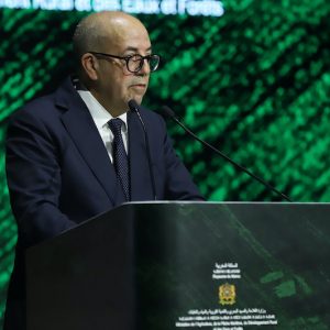 البواري: المغرب ينتظر ارتفاع محصول الحبوب بنسبة 41 في المائة
