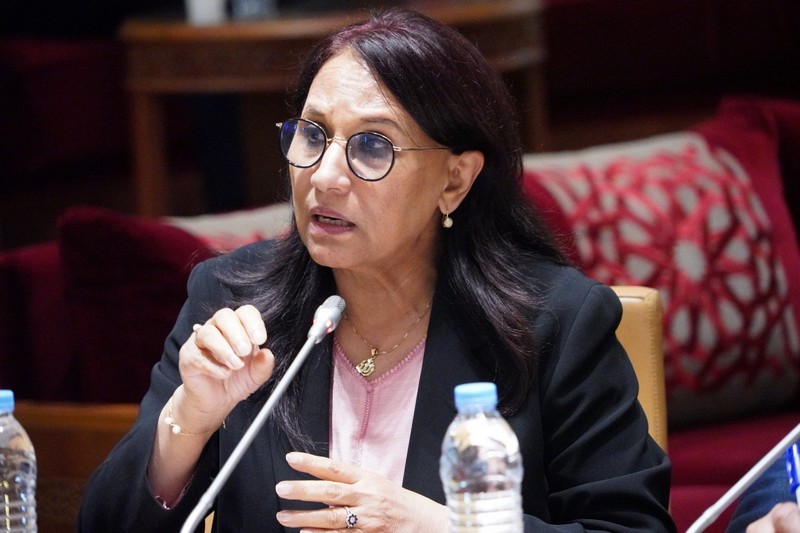 بوعياش تدعو إلى صياغة مشروع قانون المسطرة الجنائية ببعد حقوقي