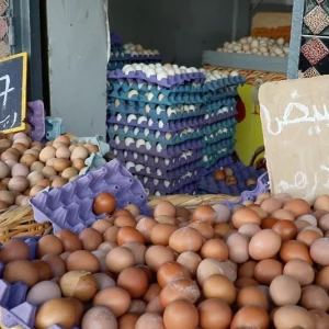 أسعار البيض "تتحرك" قبيل رمضان