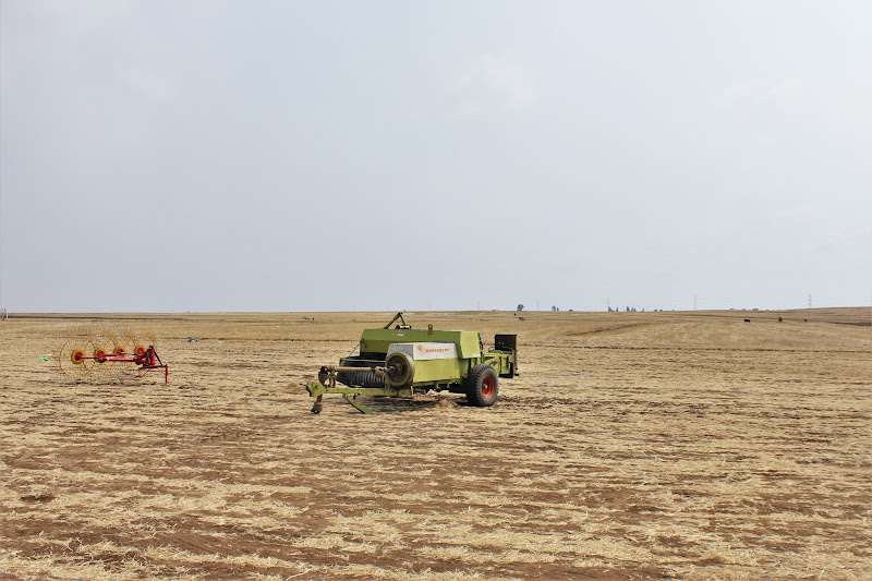 خبراء يؤكدون تربص التحديات المناخية بمنتجات فلاحية في المغرب