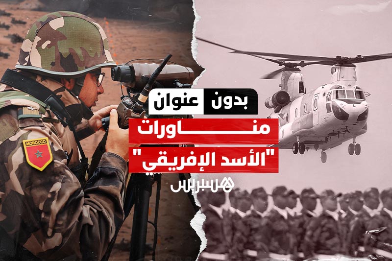 بدون عنوان: الأسد الإفريقي