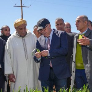 خبراء يدعون إلى صياغة تقديرات محصول الحبوب عبر الأقمار الصناعية