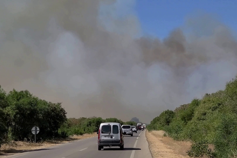 لليوم الخامس .. فرق الإطفاء تواصل مكافحة حريق غابة هوارة بطنجة