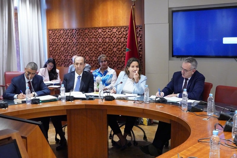 بنعلي: النجاعة الطّاقية تسائل مكونات الدولة.. والمنظومة بحاجة لجهد جماعي