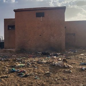 حالة المجزرة تخلف الانزعاج في تنغير