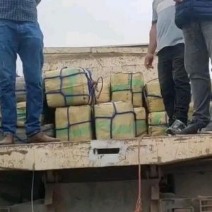 الدرك يحبط تهريب طنين من "الشيرا"