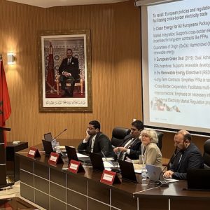مغاربة وألمان يناقشون تكامل سوق الكهرباء الخضراء بين ضفتي المتوسط
