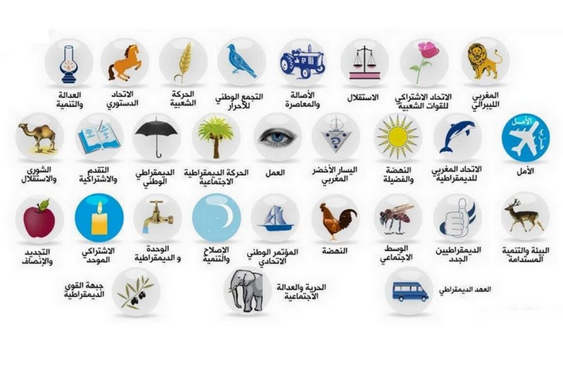الأحزاب "الميكروسكوبية" .. كائنات انتهازية تنتعش في الانتخابات