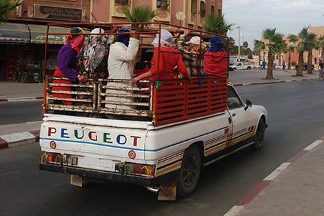 قيوح ونقل العمال الزراعيين