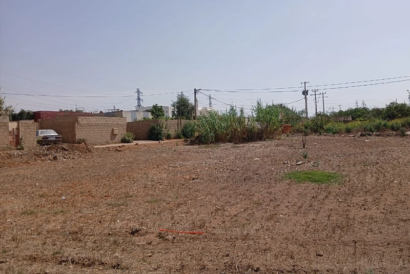 زنا المحارم يهز عين عودة