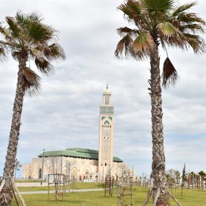 منتخبون يرفضون تفويت عقار بالبيضاء