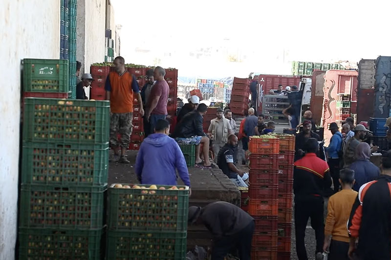 أسعار الخضر في سوق الجملة