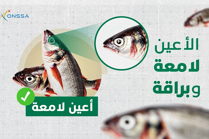 نصائح لاقتناء السمك الطري