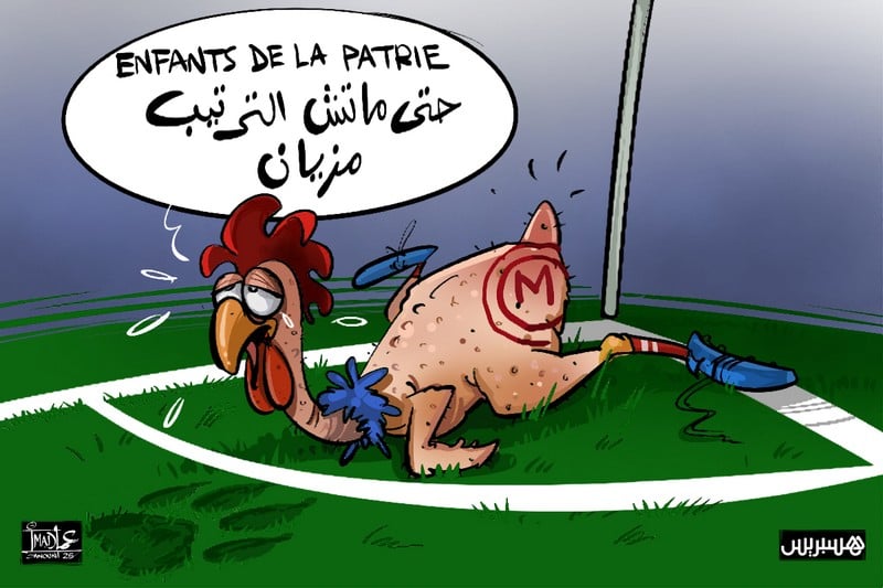 بقايا وجبة الأشبال