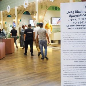 معرض الفرس يجذب 150 ألف زائر