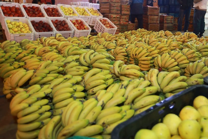 مهنيو الصحراء المغربية يثمنون رسائل الاتفاق الفلاحي بين الرباط وبروكسل