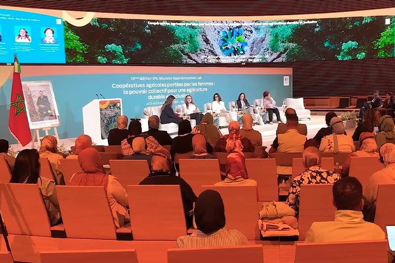 "المثمر" يدعم المرأة القروية