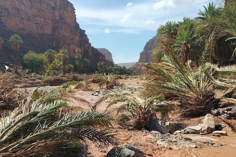 الجفاف يضرب واحات المغرب .. والساكنة تنتظر انفراج أسارير السماء