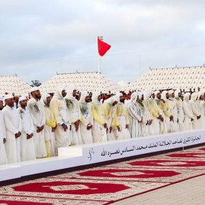 جائزة محمد السادس لـ"التبوريدة" تسدل الستار.. سربة بنخدة بالمركز الأول