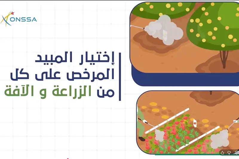 نصائح استعمال مبيدات الآفات الزراعية