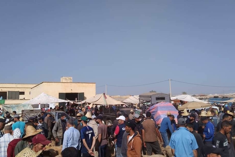 مصدر يوضح بشأن سوق عين توجطات