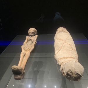 ليبيا تعيد فتح أبواب "المتحف الوطني"