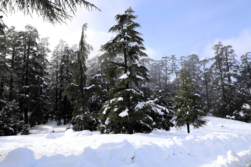 مقاييس التساقطات الثلجية بالمغرب