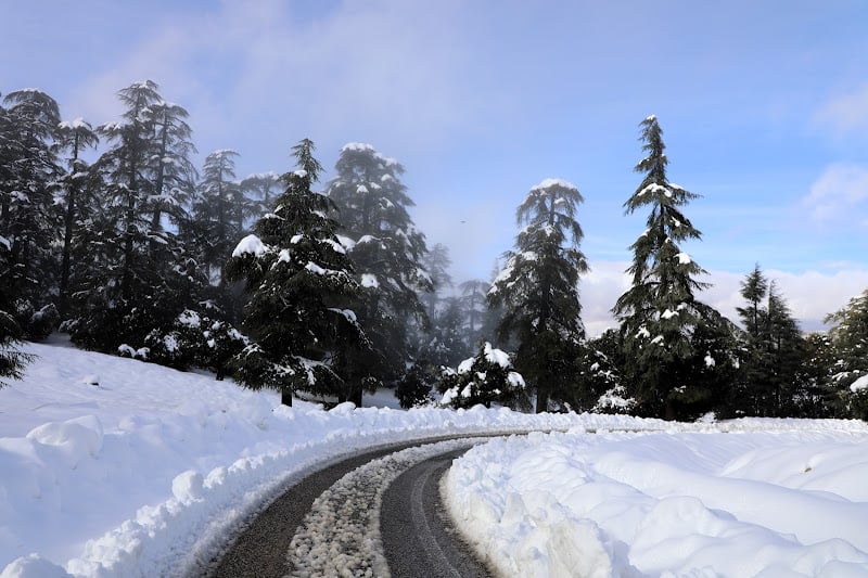 برودة وجليد محلي يسبقان دخول مرحلة جوية غير مستقرة في المغرب