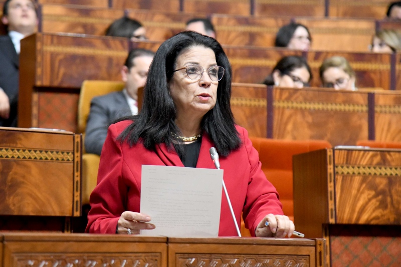 السغروشني: الحكومة تقترب من توظيف الذكاء الاصطناعي ضد الجرائم الرقمية