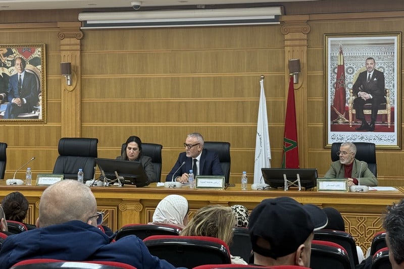 مستشارة تحذر من بنايات في طنجة