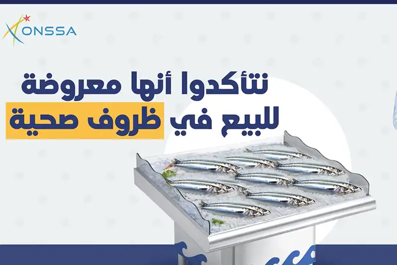علامات اختيار السمك الطري