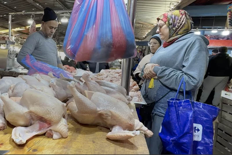 غلاء الدواجن يثير الاستياء