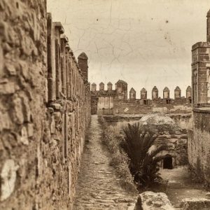 على خُطى "إدمون دوتّي" في بولعوان .. من مشرع الكرمة إلى دار السلطان