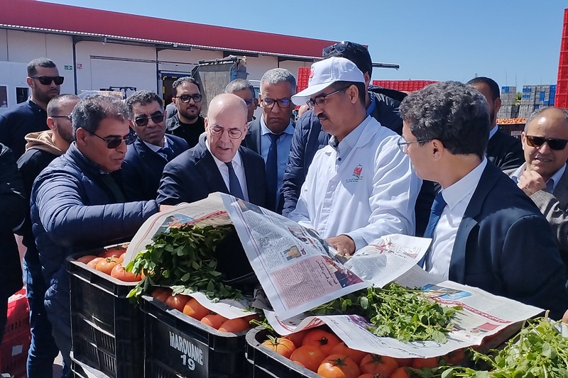 البواري يتفقد خسائر الفلاحة باشتوكة 6 elbouari chtouka 1