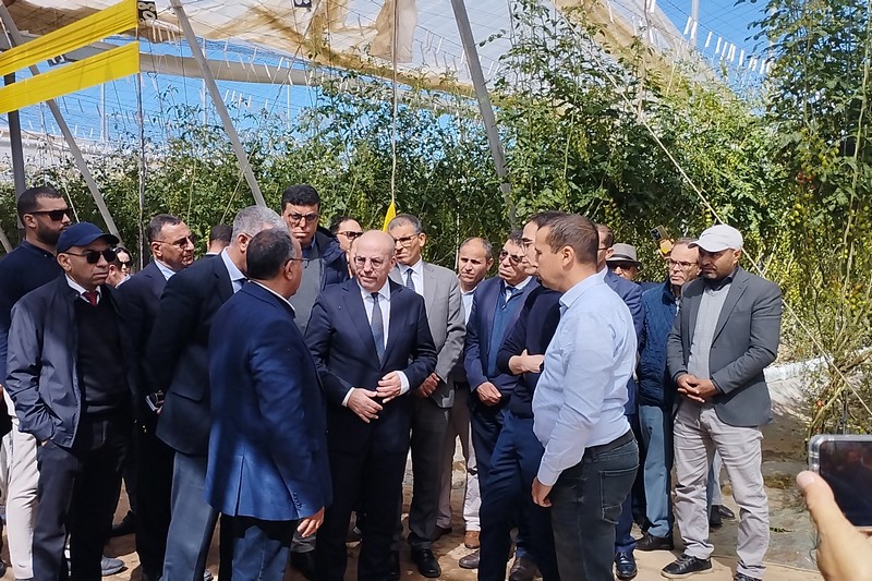 البواري يتفقد خسائر الفلاحة باشتوكة 8 elbouari chtouka 3