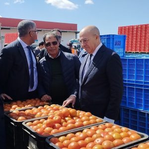 البواري يتفقد خسائر الفلاحة باشتوكة‎