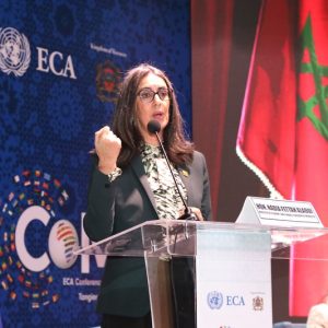 فتاح: "الصحة" محرك أساسي للاستقرار الاقتصادي وبوصلة للنموذج التنموي