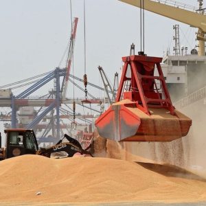 المغرب يضاعف منحة استيراد القمح