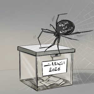 انتخابات 2026 .. توقعات نسبة المشاركة بين "التشاؤم" وزخم غير مسبوق