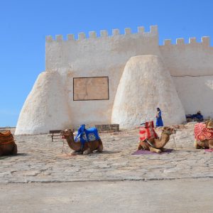 "نوستالجيا" تعرض في أكادير أوفلا