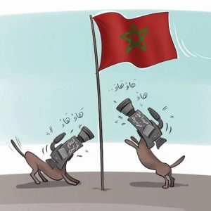 محاولات تشويه المغرب .. لماذا تتكرر الحملات عند الاحتفاء بالإنجازات؟