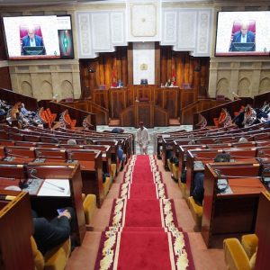 فريق مشترك يجمع "الحصان" و"النخلة"