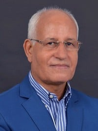 الفن البصري المغربي