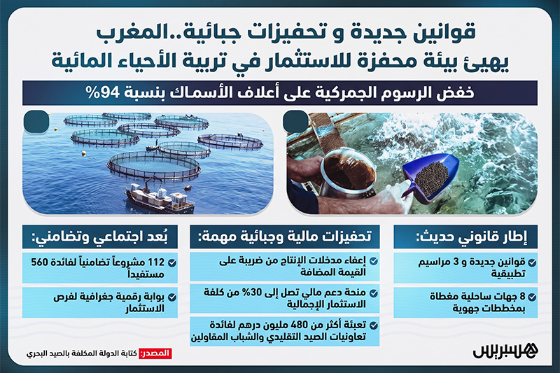 قوانين جديدة وتحفيزات جبائية .. المغرب يهيئ بيئة محفزة للاستثمار في تربية الأحياء المائية