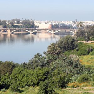 جائزة تحفز الأبحاث في تاريخ دكالة