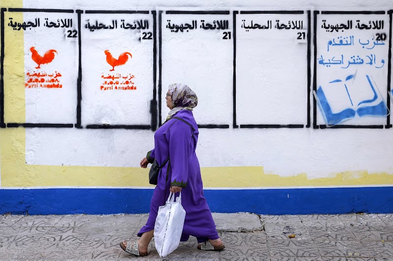 انتخابات 2026 .. حضور نسائي متصاعد وتحديات في الدوائر المحلية